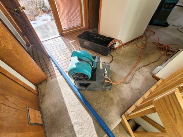 Trusted Exmore, VA Water damage restoration Experts