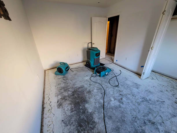 Best Ceiling water damage repair  in Exmore, VA