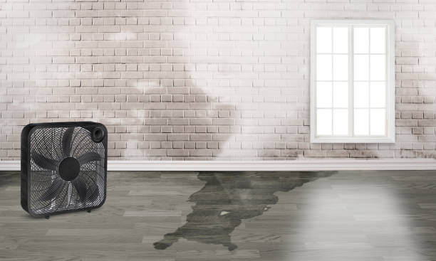 Water damage restoration process in Exmore, VA