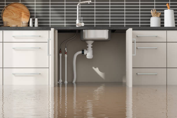 Best Fire Damage Restoration  in Exmore, VA