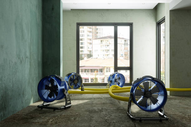 Best 24-hour water damage restoration  in Exmore, VA
