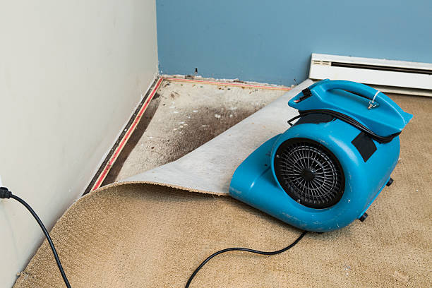 Sewage cleanup and water damage restoration in Exmore, VA