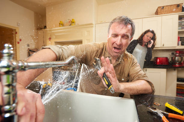Best Flood damage cleanup  in Exmore, VA